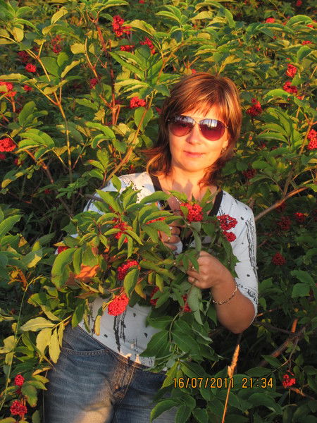 Елена Никитина