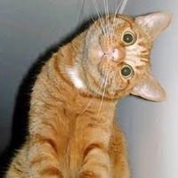 Анатолий Машкин