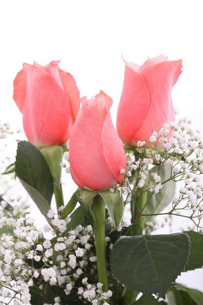 Карлыгаш Баймадиева