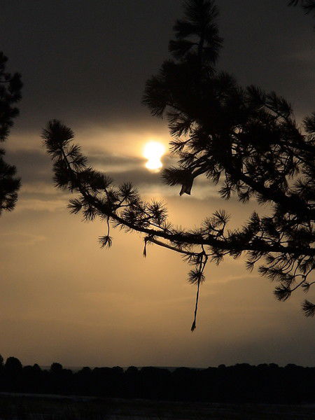 Виктор Лопатников