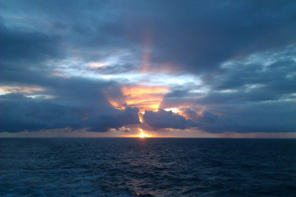 Дмитрий Грудев