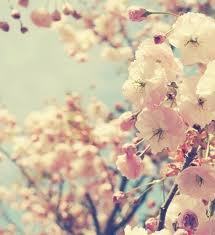 Зауре Айкимбаева