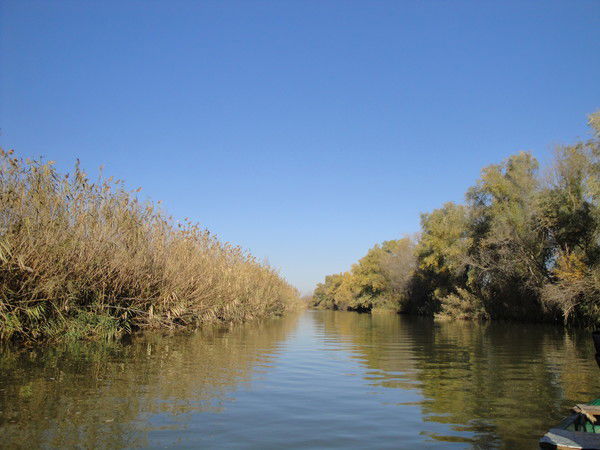 Ольга Хрипкова