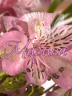 Марина Костенко(Суббота)