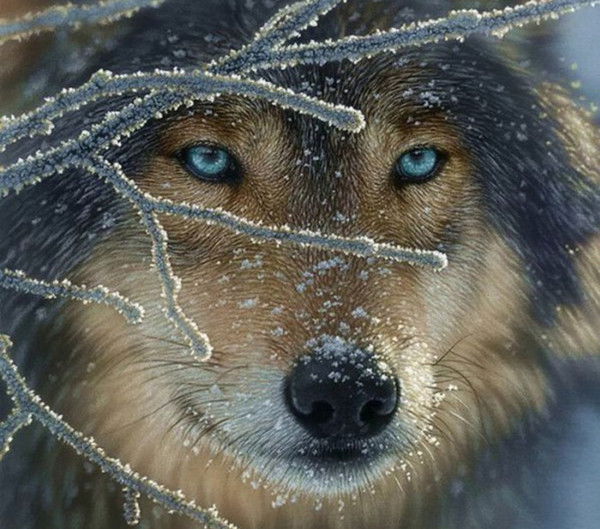 Ольга Беляева