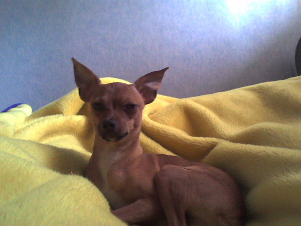 Сергей Пархоменко