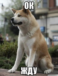 Слава Кременсков