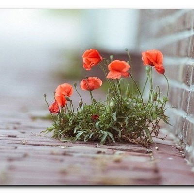 Мария Тимченко