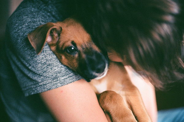 Дианка Даренская