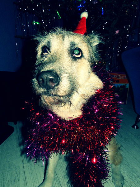 Анастасия Бахрушина