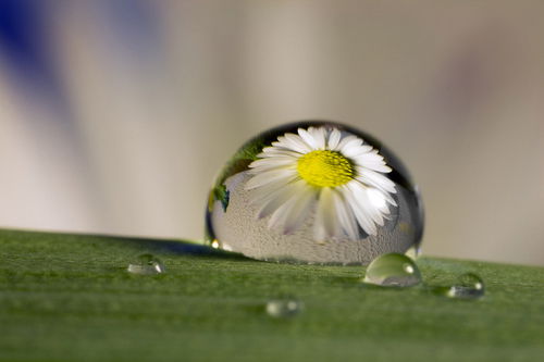 Люська Замалдинова