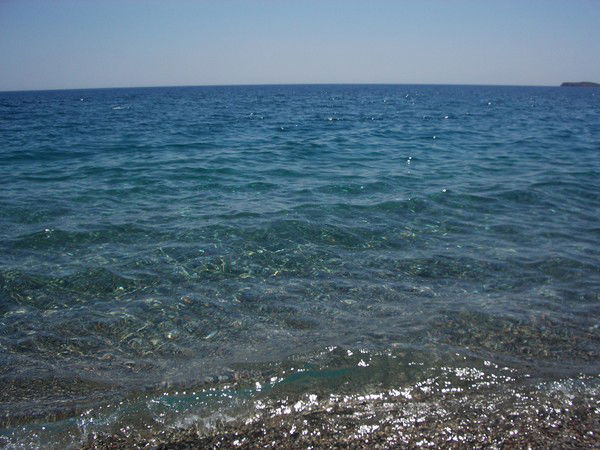 Ольга Дроновская