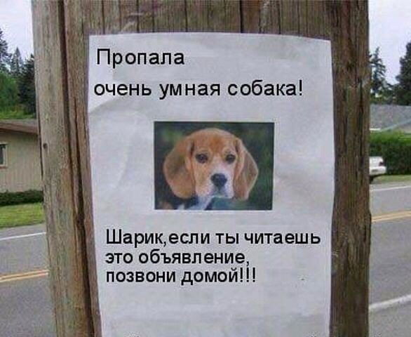 Аркадий Совельев