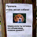 Аркадий Совельев