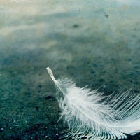 Евгений Веснин