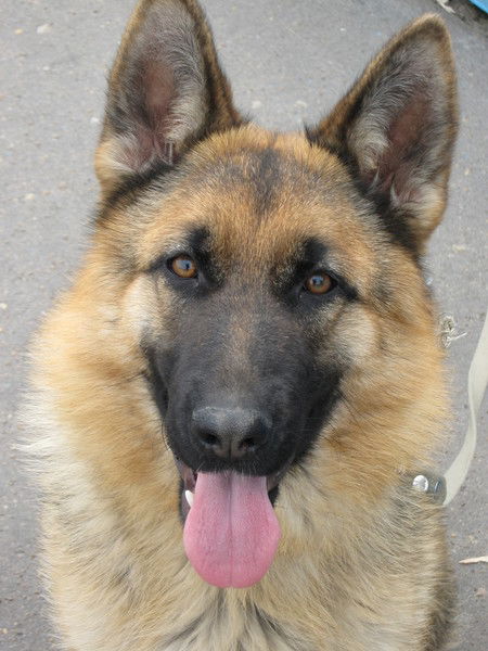 Анютка Полынцева