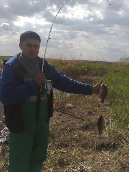 Александр Богданов