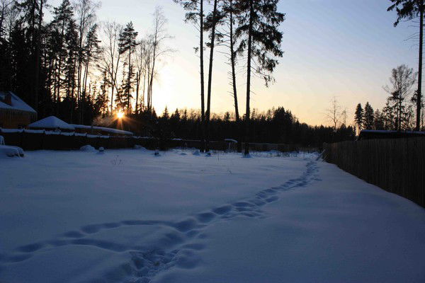 Виктория Смирнова