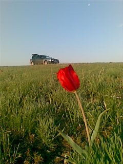 Мадина Бижанова