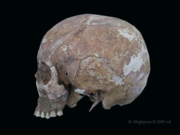 Владимир Шафорост