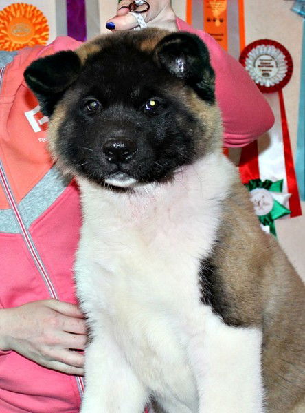 Игорь Баньщиков