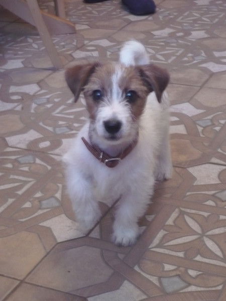 Светлана Нуруллина