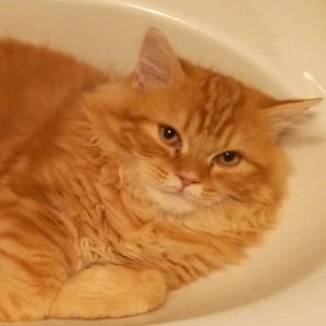 Екатерина Крюкова