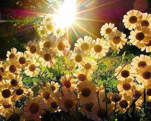 Ольга Семгайкина