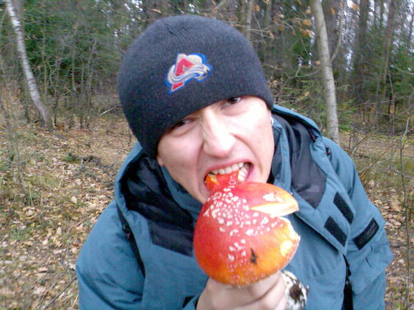 Дмитрий Куранов