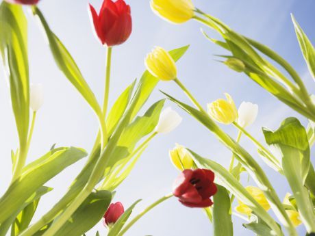 Екатерина Бакалдина