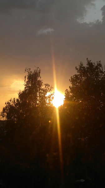 Алексей Кондрашов