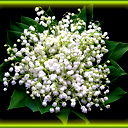 Прикосновение Мечты