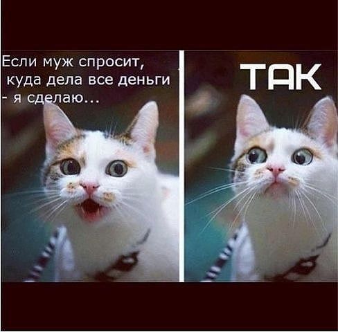 Нинуля Стерхова