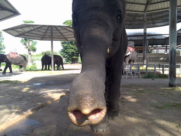 Вадим Серёдкин