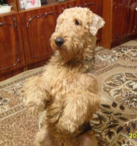 Светлана Кудряшова