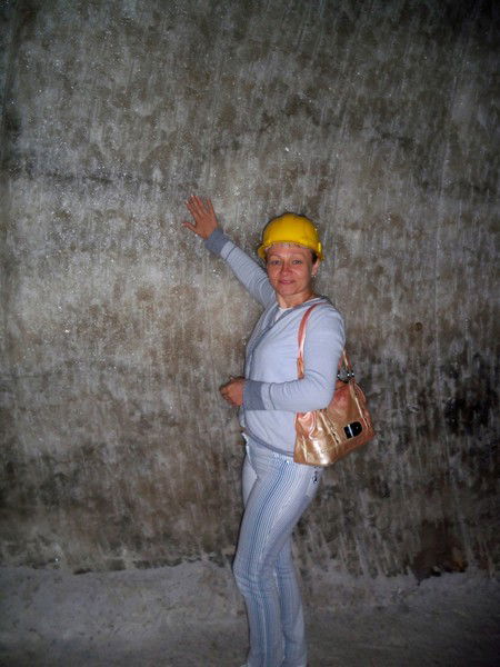 Елена Устинова