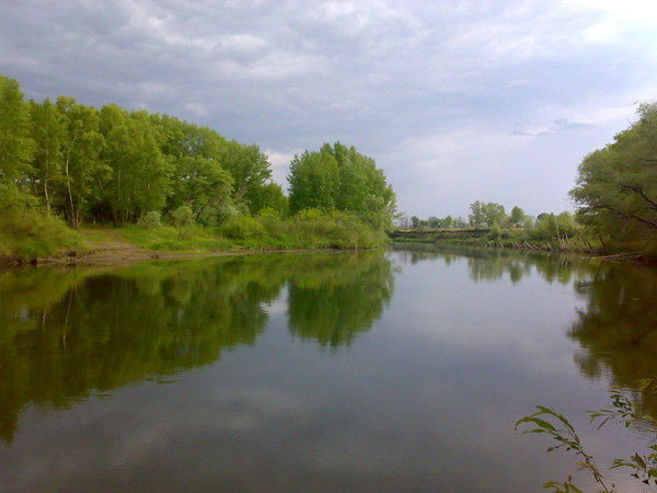 Алтынай Валиева