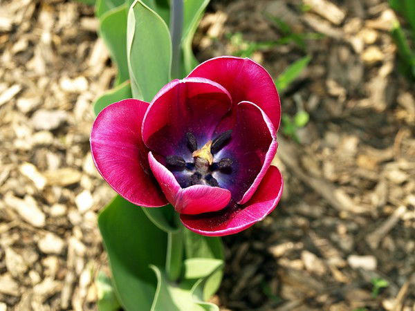 Игорь Довбыш