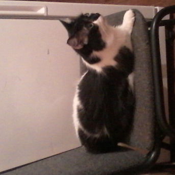 Милана Гиндулина