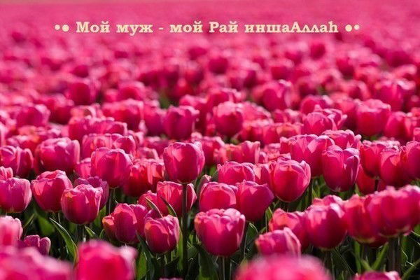 Акгуль Асипова