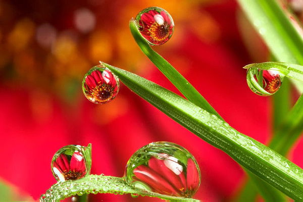 Тамара Сергиенко(Голубченко)