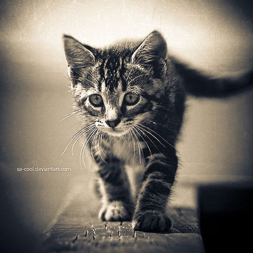 Алтынай Сембаева