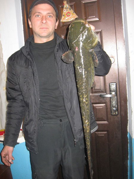 Сергей Зяблов