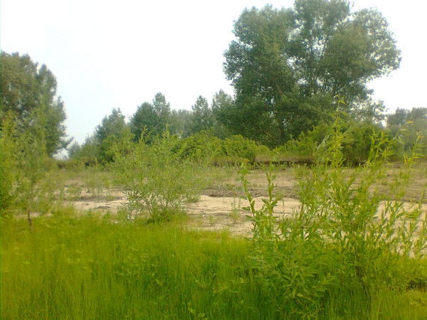 Иришка Владимировна