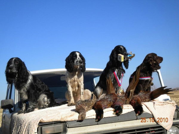 Алла Алейникова