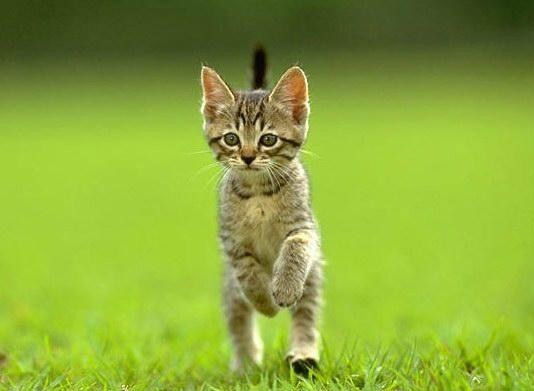 Владислав Климушкин