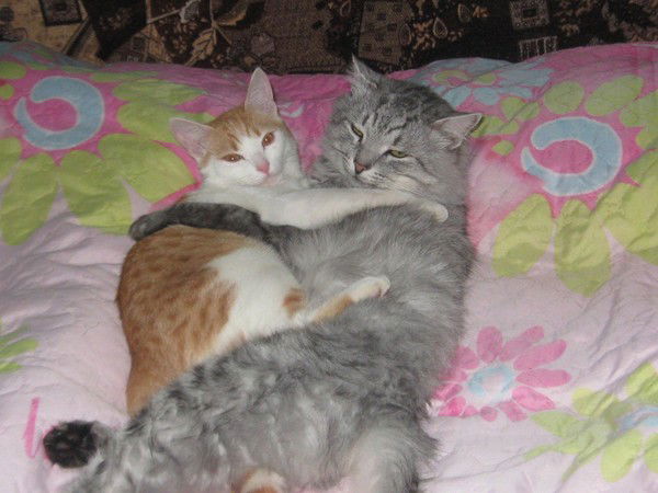 Варвара Любимова