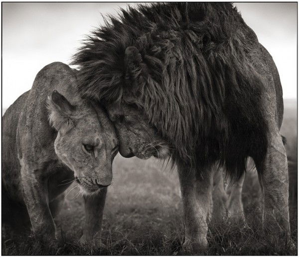 Анна Пекарская