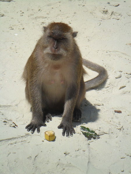 Людмила Скоркина