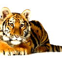 Марина Шнайдер